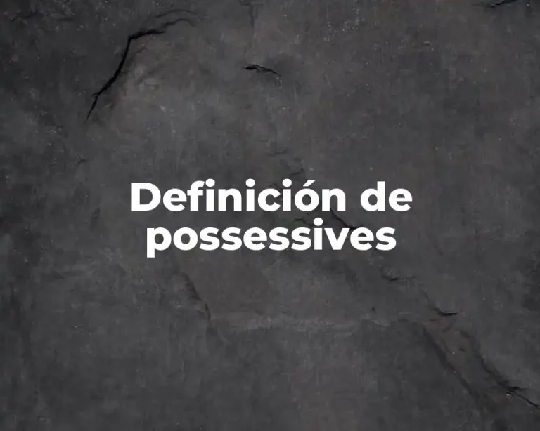 Definición de possessives