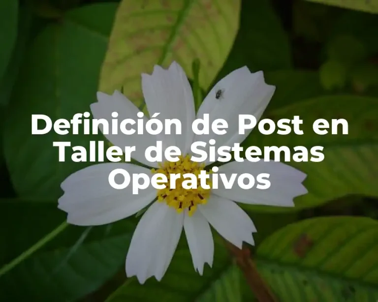 Definición de Post en Taller de Sistemas Operativos