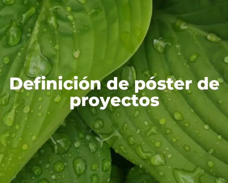 Definición de póster de proyectos
