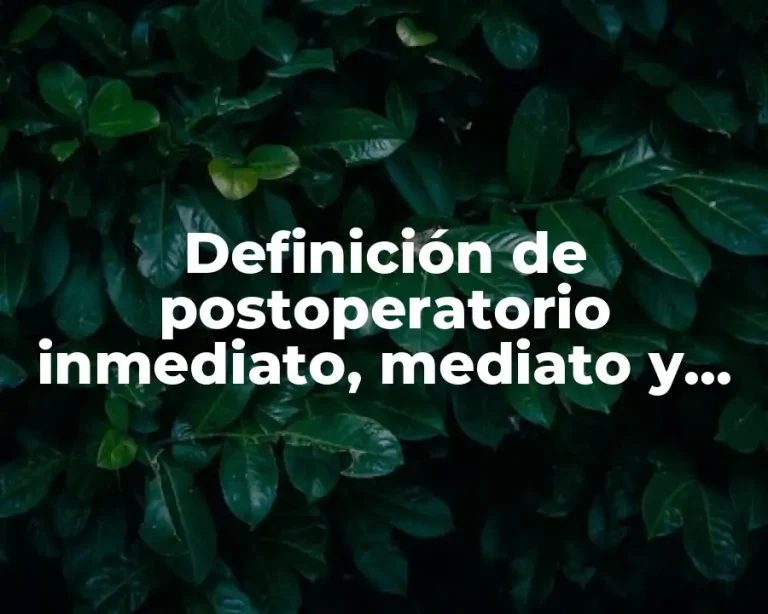 Definición de postoperatorio inmediato, mediato y tardío
