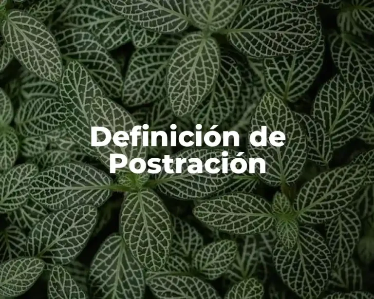 Definición de Postración