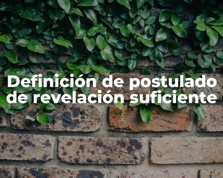 Definición de postulado de revelación suficiente