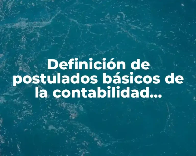 Definición de postulados básicos de la contabilidad gubernamental en entidades públicas