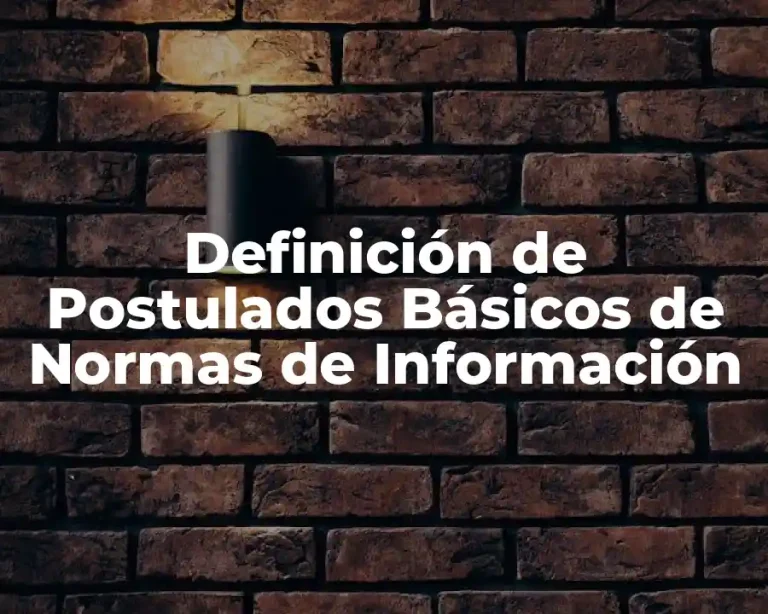 Definición de Postulados Básicos de Normas de Información