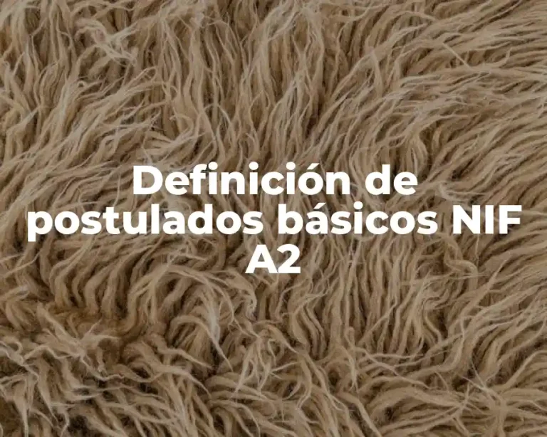Definición de postulados básicos NIF A2