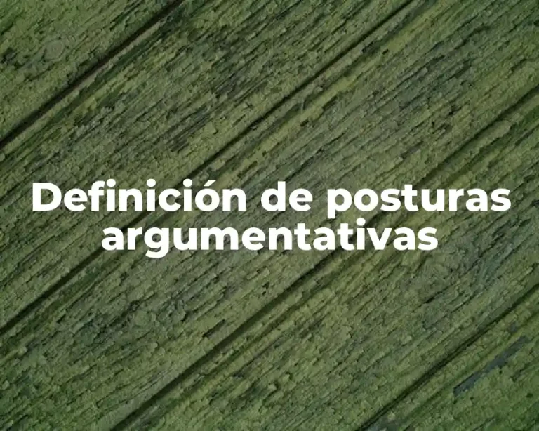 Definición de posturas argumentativas