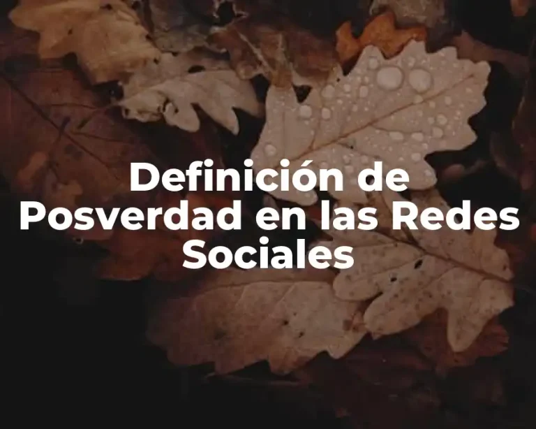 Definición de Posverdad en las Redes Sociales