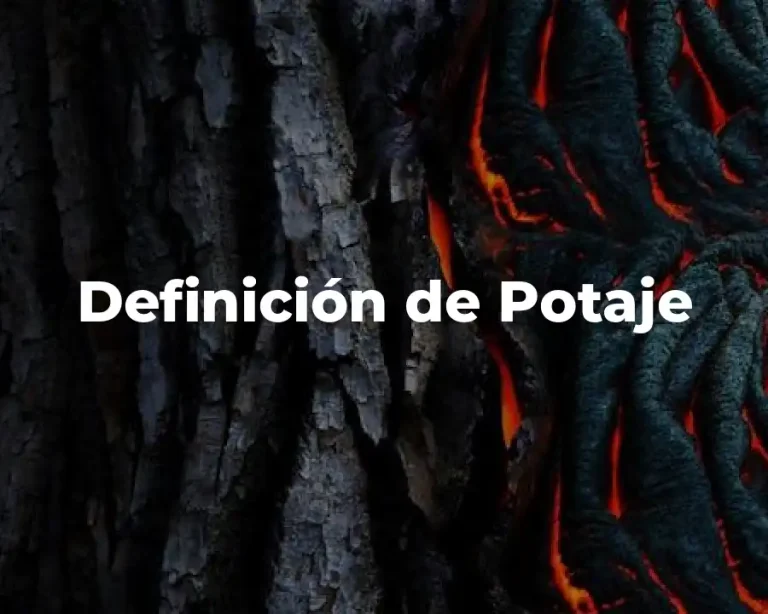 Definición de Potaje