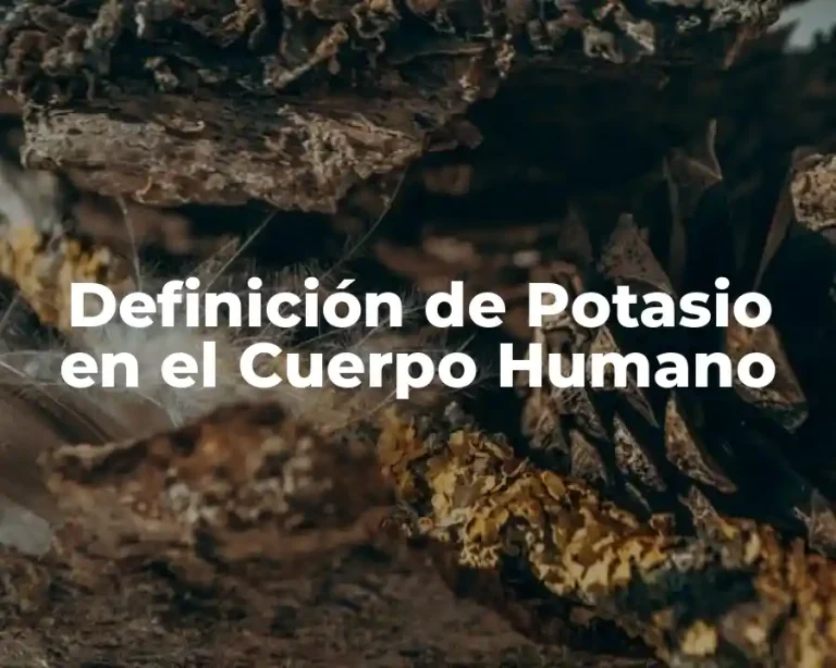 Definición de Potasio en el Cuerpo Humano