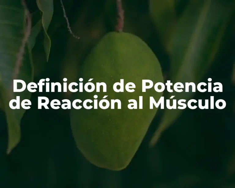 Definición de Potencia de Reacción al Músculo