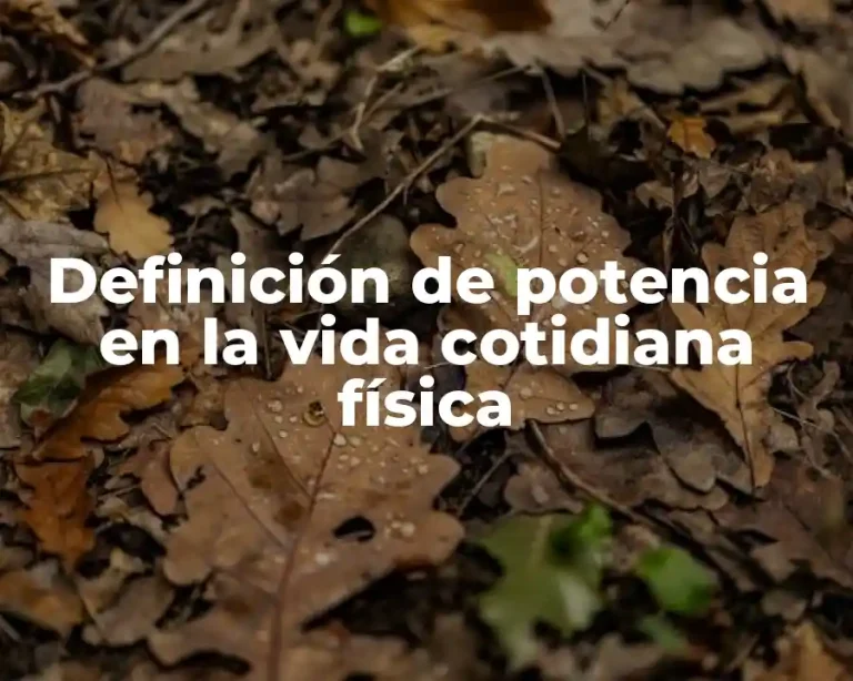 Definición de potencia en la vida cotidiana física