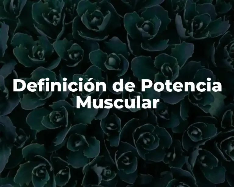 Definición de Potencia Muscular