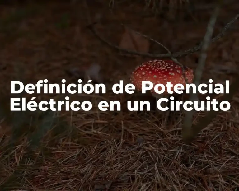 Definición de Potencial Eléctrico en un Circuito