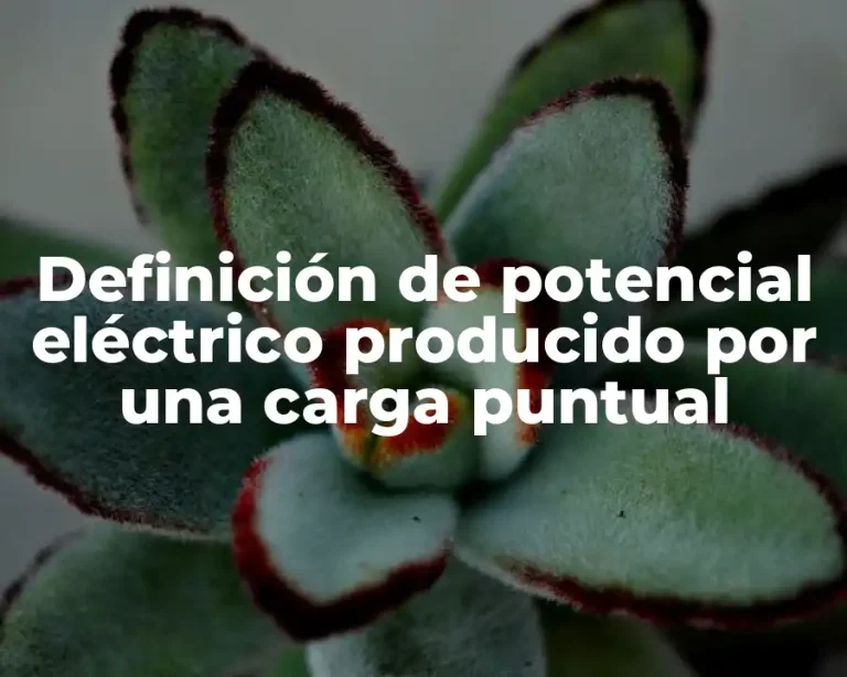 Definición de potencial eléctrico producido por una carga puntual