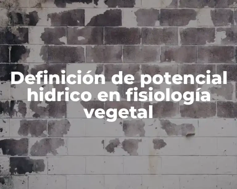 Definición de potencial hidrico en fisiología vegetal