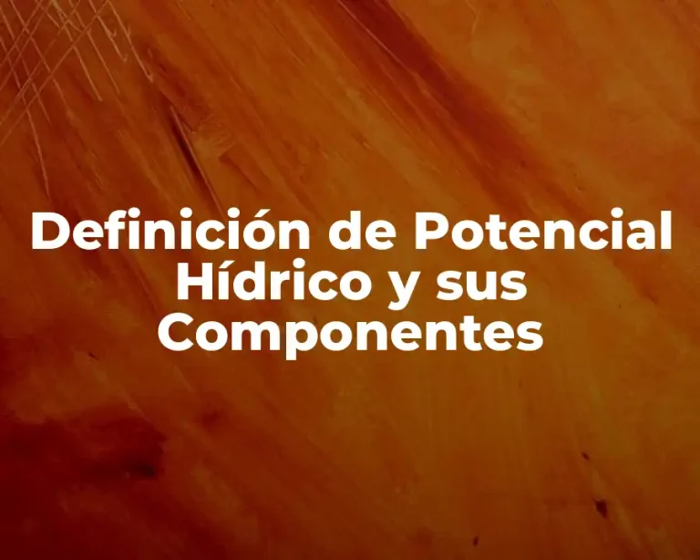 Definición de Potencial Hídrico y sus Componentes