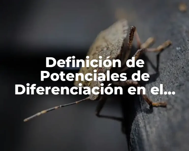 Definición de Potenciales de Diferenciación en el Trabajo