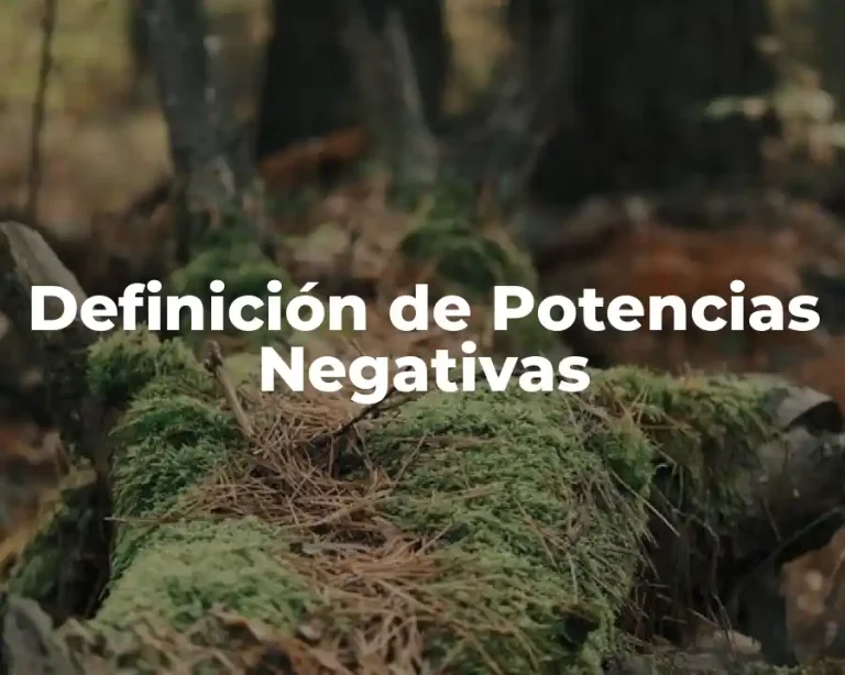 Definición de Potencias Negativas