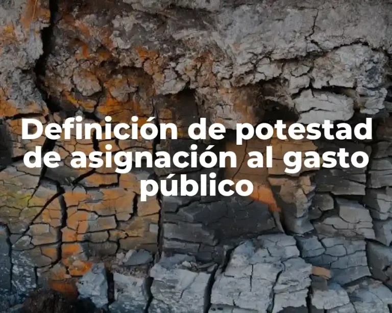 Definición de potestad de asignación al gasto público