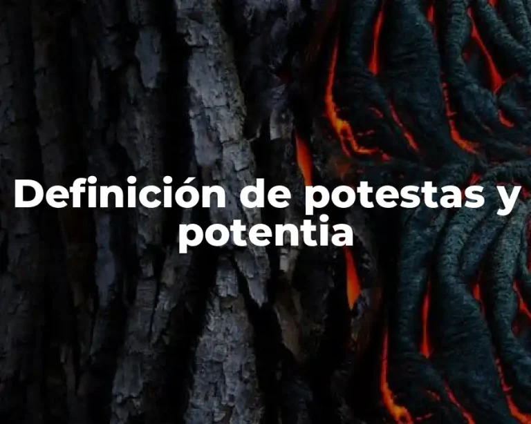 Definición de potestas y potentia