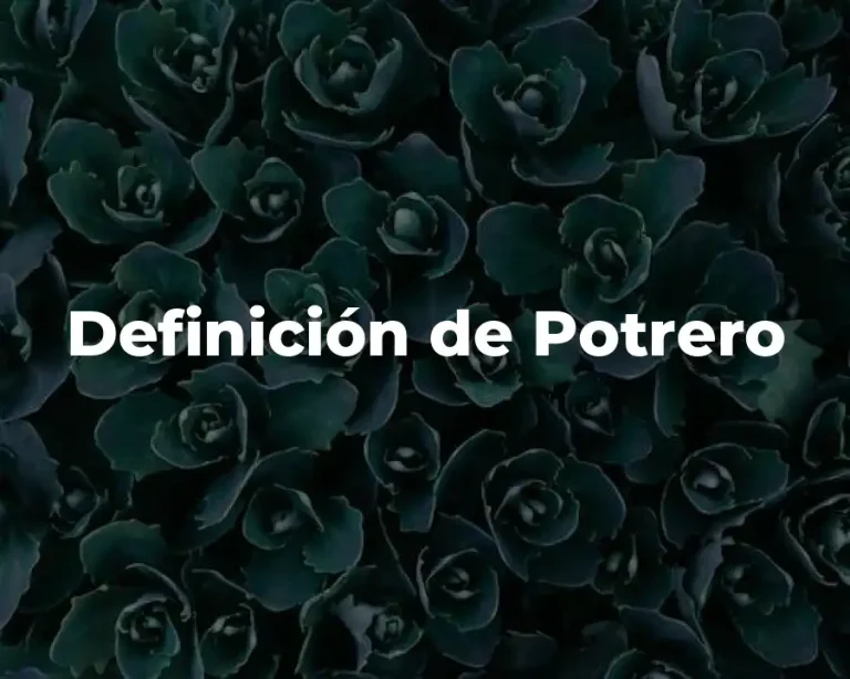Definición de Potrero