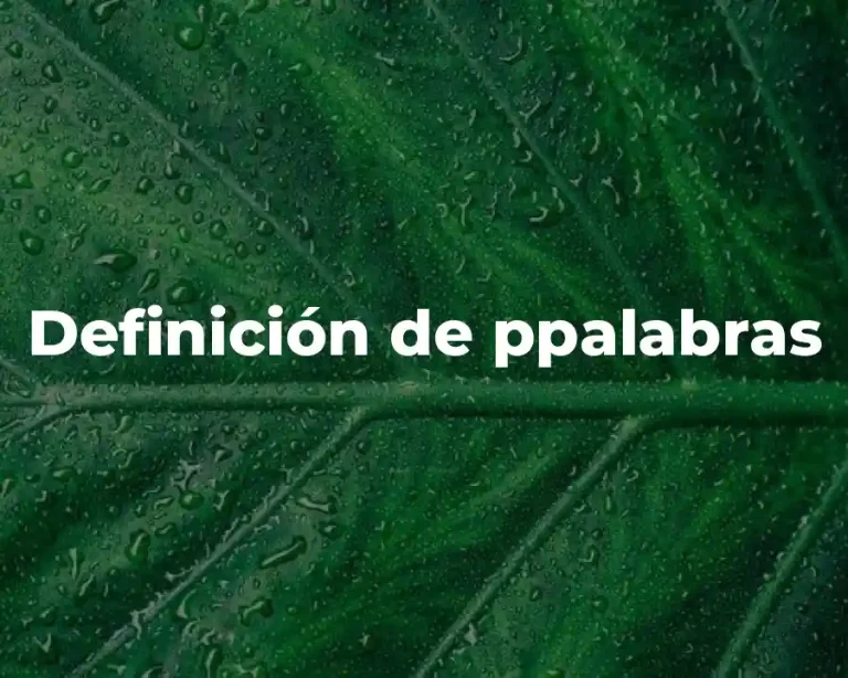 Definición de ppalabras