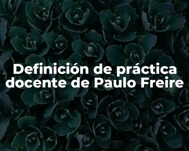 Definición de práctica docente de Paulo Freire