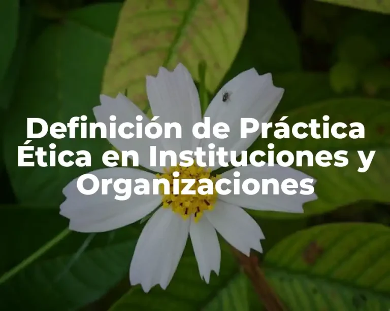 Definición de Práctica Ética en Instituciones y Organizaciones