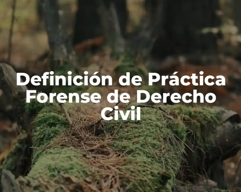 Definición de Práctica Forense de Derecho Civil