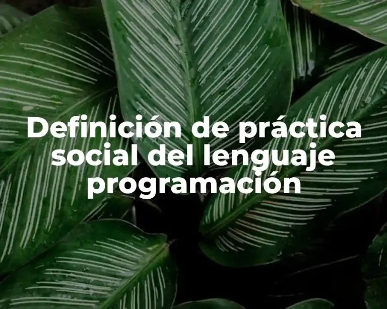 Definición de práctica social del lenguaje programación