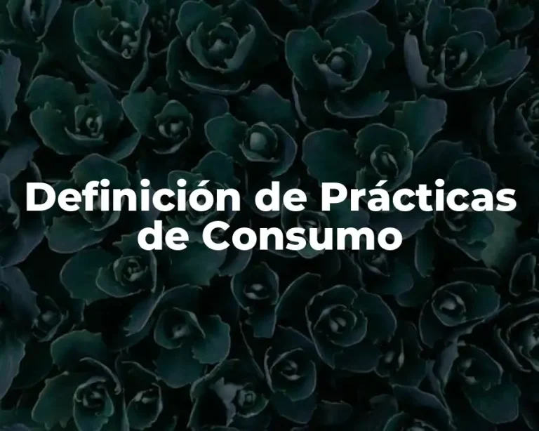 Definición de Prácticas de Consumo