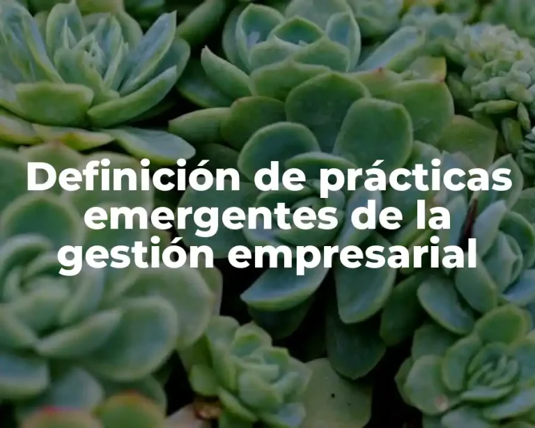 Definición de prácticas emergentes de la gestión empresarial