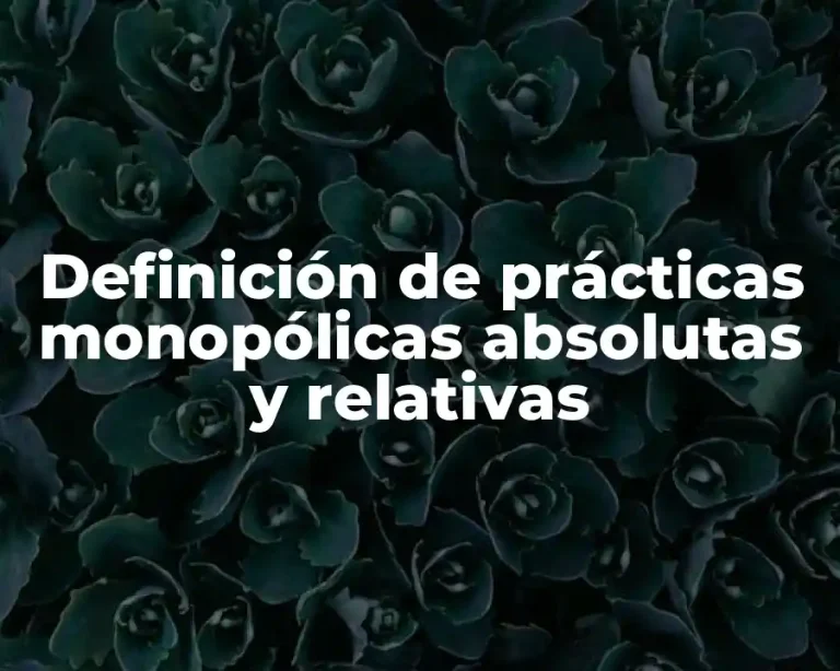 Definición de prácticas monopólicas absolutas y relativas