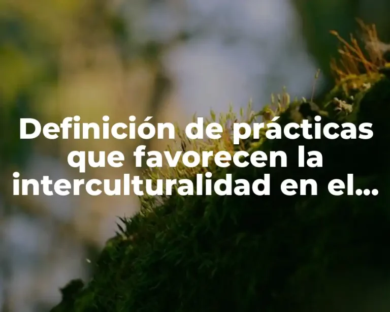 Definición de prácticas que favorecen la interculturalidad en el Estado de México