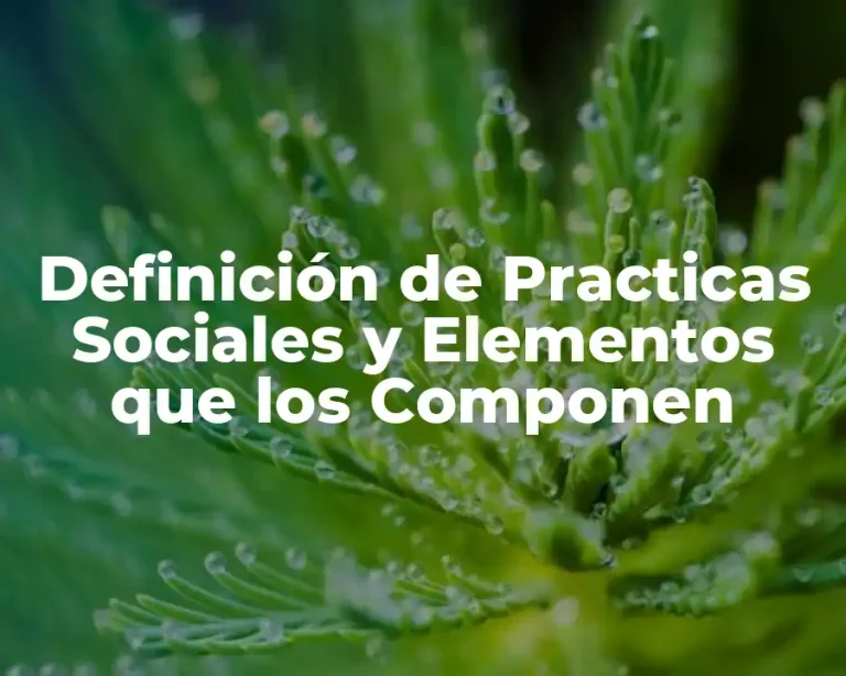 Definición de Practicas Sociales y Elementos que los Componen