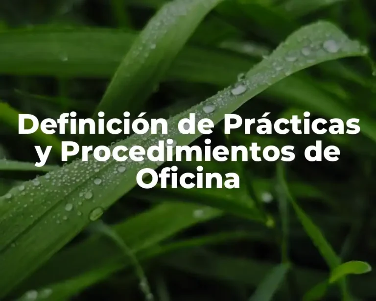 Definición de Prácticas y Procedimientos de Oficina