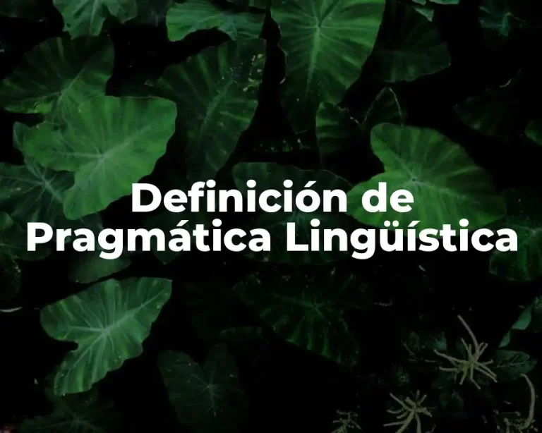 Definición de Pragmática Lingüística