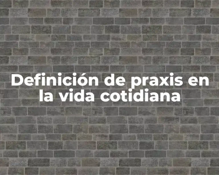Definición de praxis en la vida cotidiana