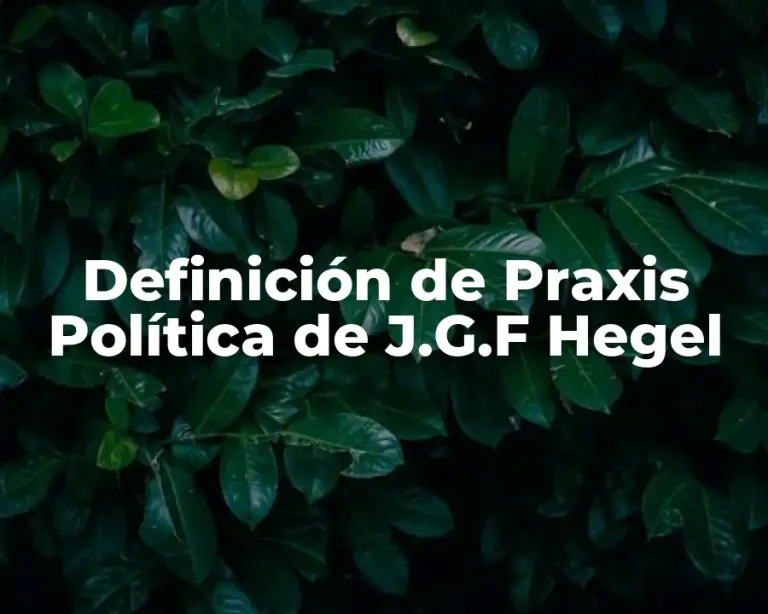Definición de Praxis Política de J.G.F Hegel