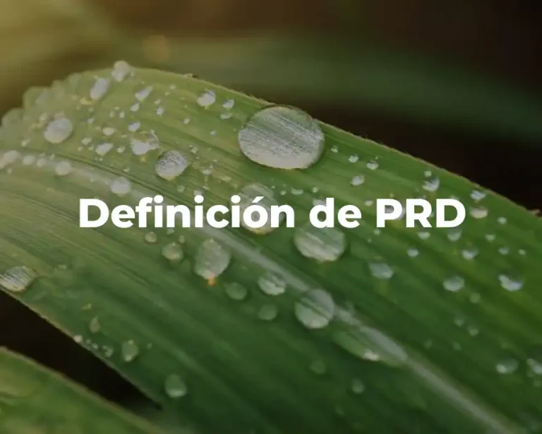 Definición de PRD