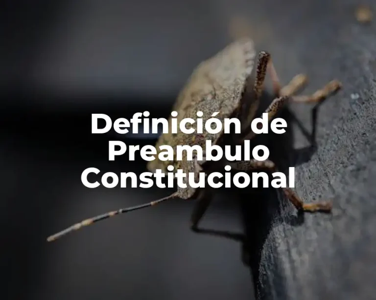Definición de Preambulo Constitucional