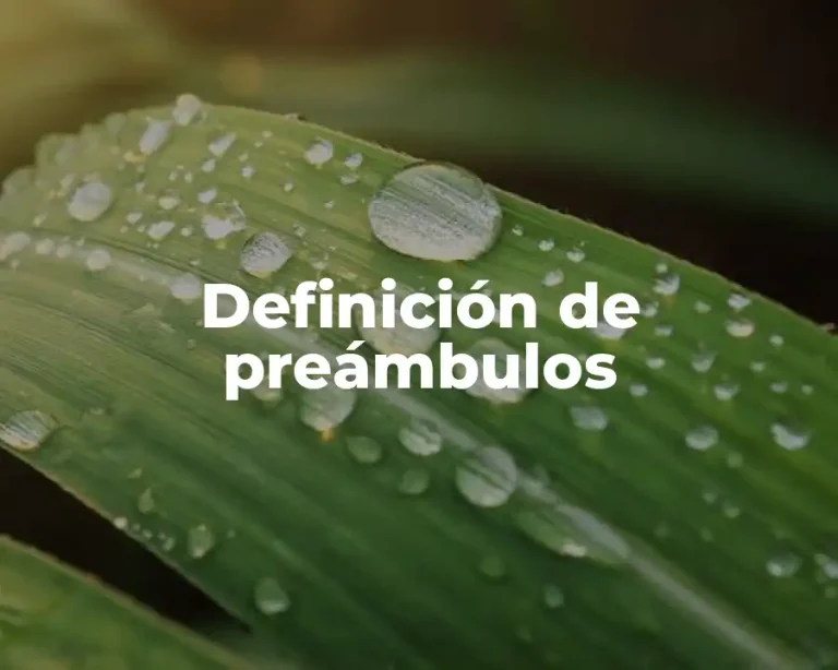 Definición de preámbulos
