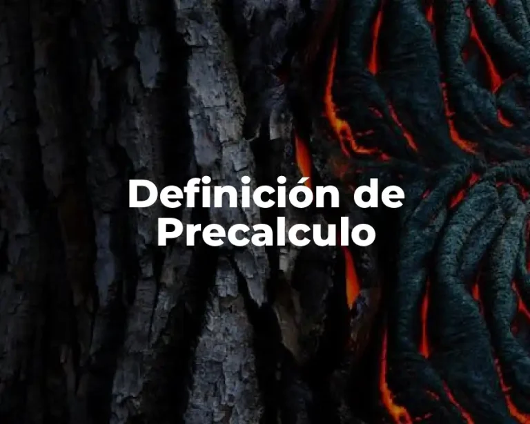Definición de Precalculo