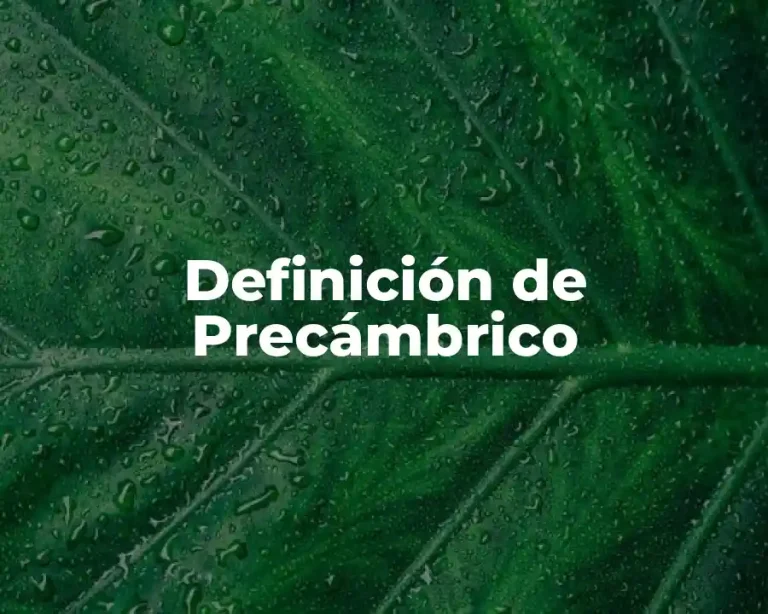 Definición de Precámbrico