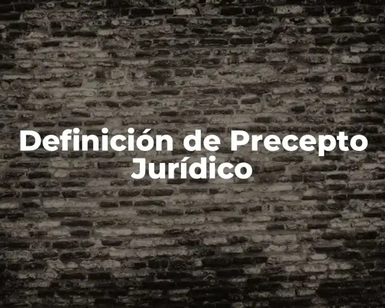 Definición de Precepto Jurídico