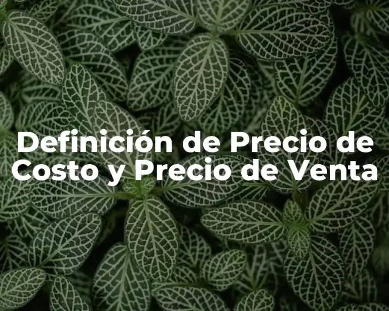 Definición de Precio de Costo y Precio de Venta