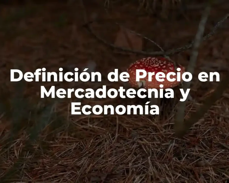Definición de Precio en Mercadotecnia y Economía
