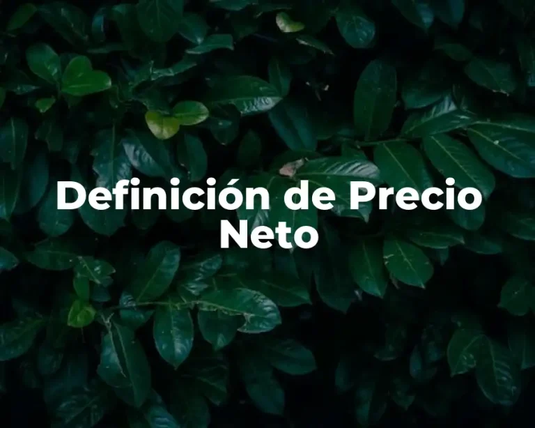 Definición de Precio Neto