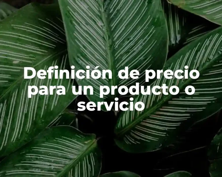 Definición de precio para un producto o servicio