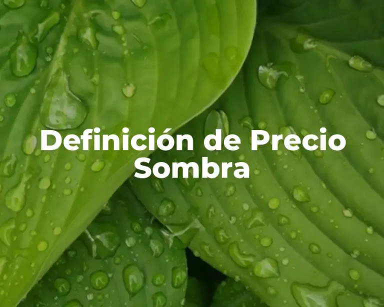 Definición de Precio Sombra